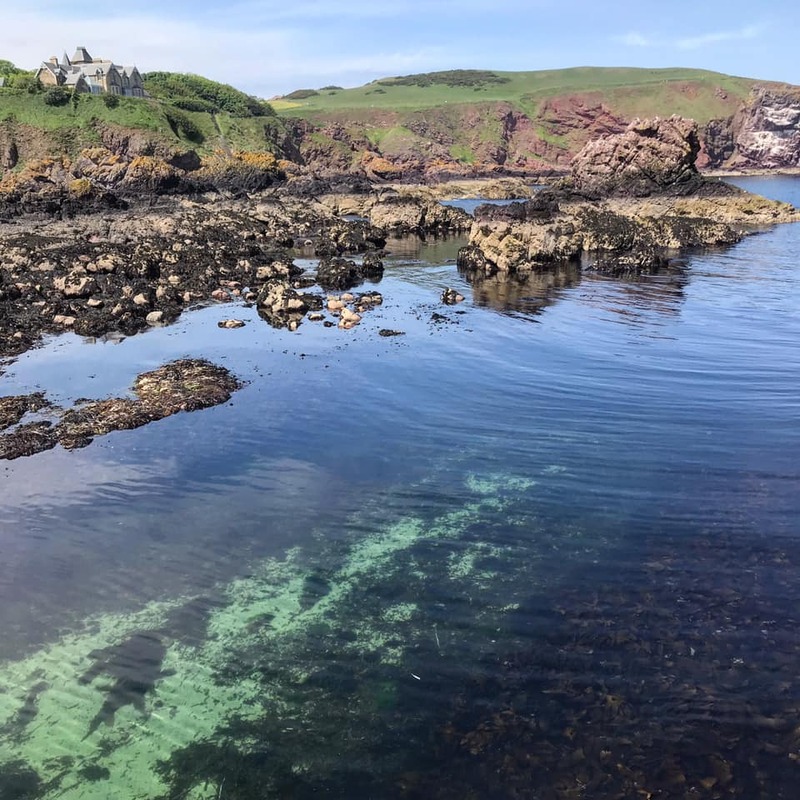 Berwickshire_Marine_Reserve.jpg Berwickshire_Marine_Reserve.jpg