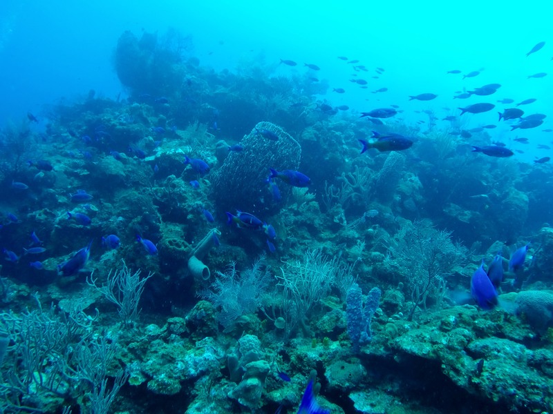 GOPR8838.JPG GOPR8838.JPG