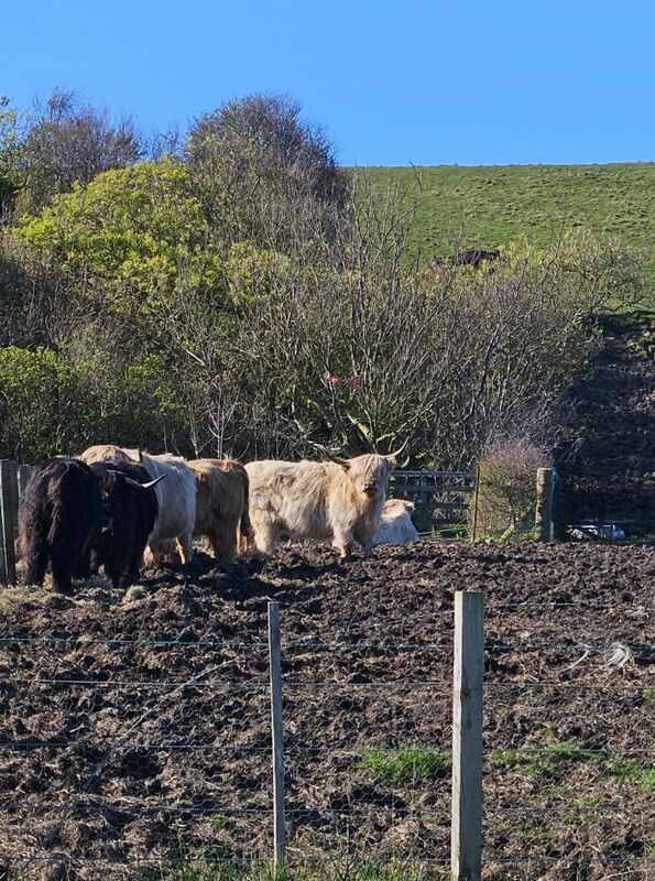 20240426_165844.jpg 20240426_165844.jpg