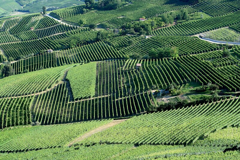 Piemonte__Italy__5885193979_.jpg Piemonte__Italy__5885193979_.jpg