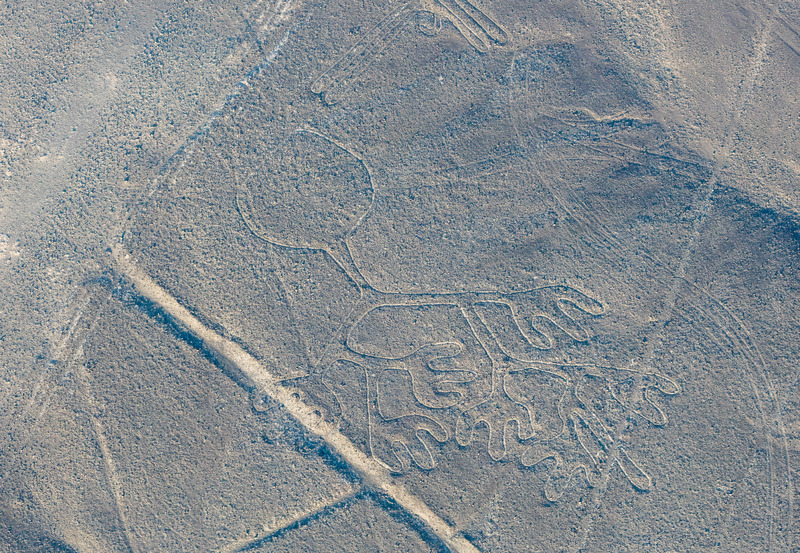 Li__neas_de_Nazca__Nazca__Peru____2015-07-29__DD_56-1.jpeg Li__neas_de_Nazca__Nazca__Peru____2015-07-29__DD_56-1.jpeg