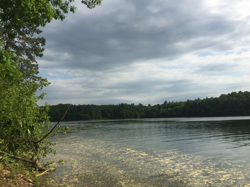 IMG_8535.JPG IMG_8535.JPG