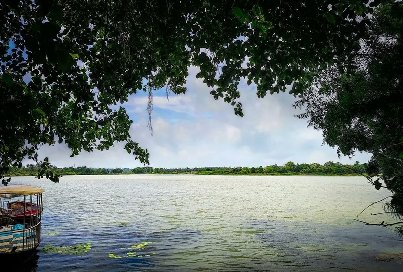 Lalbandh_under_tree.jpg Lalbandh_under_tree.jpg