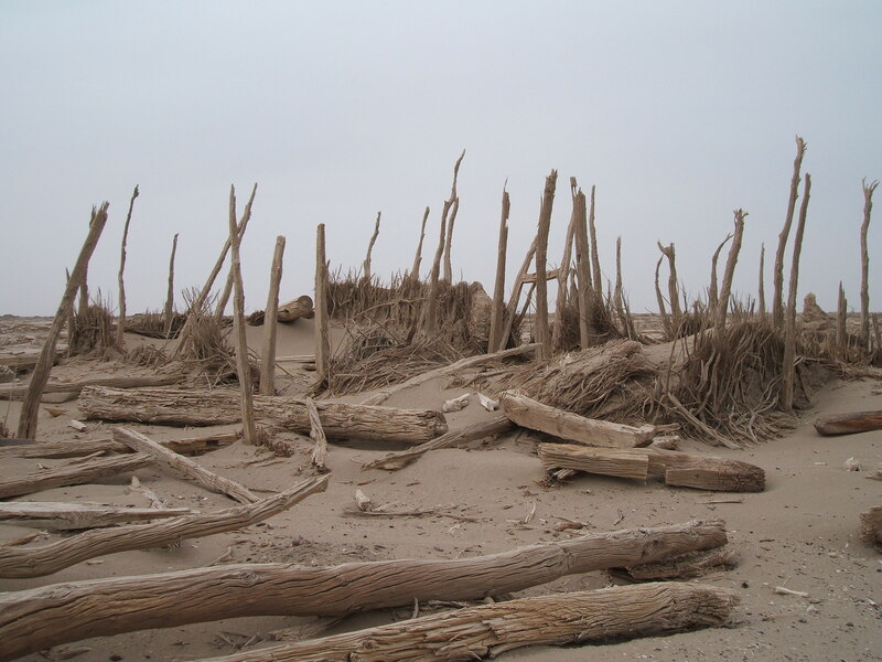 _____________Loulan_city_China_Xinjiang_Urumqi_Welcome_you_to_tour_the_-_panoramio_.png _____________Loulan_city_China_Xinjiang_Urumqi_Welcome_you_to_tour_the_-_panoramio_.png