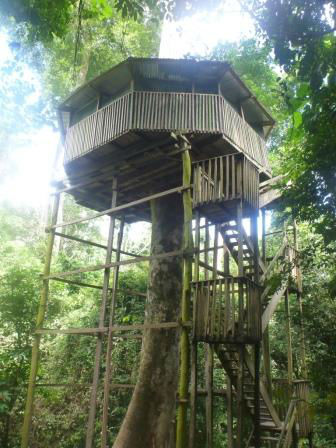 2028_Kakum-tree-house-1.jpg 2028_Kakum-tree-house-1.jpg