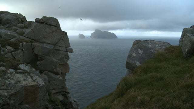 4133-thumbnail.jpg 4133-thumbnail.jpg