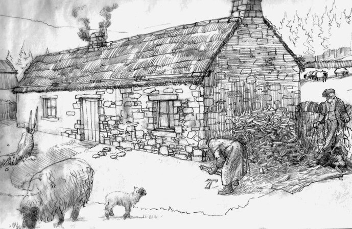 colony_2b.jpg colony_2b.jpg