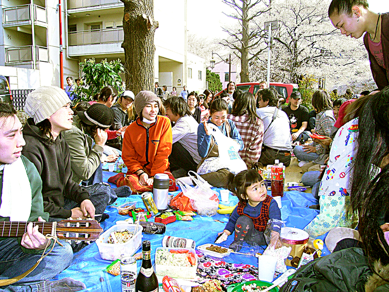 Hanami_Picnic.jpg Hanami_Picnic.jpg