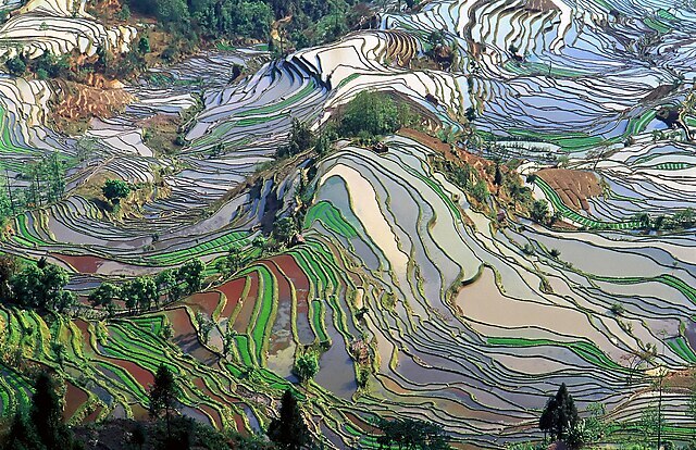 Terrace_field_yunnan_china_denoised.jpg Terrace_field_yunnan_china_denoised.jpg