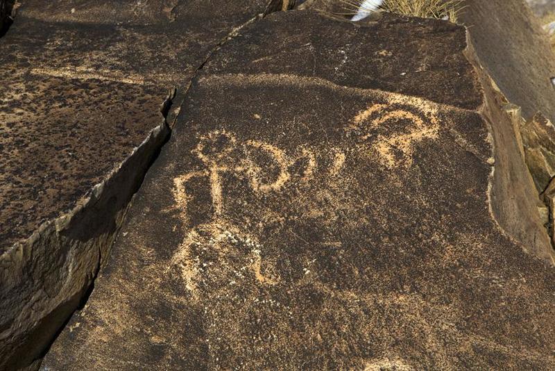 IMG_5769.JPG IMG_5769.JPG