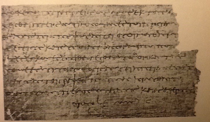 papyrus.jpg papyrus.jpg