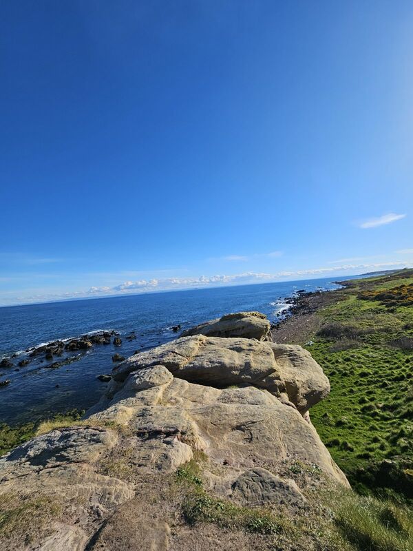 20240426_172448.jpg 20240426_172448.jpg