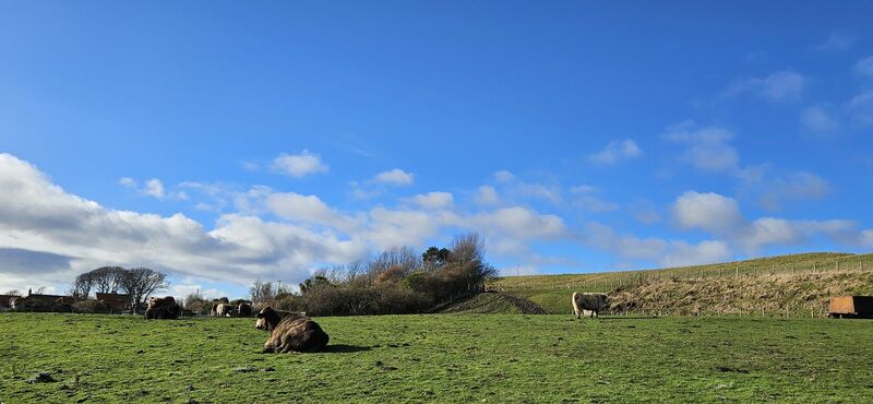 20240218_133130.jpg 20240218_133130.jpg