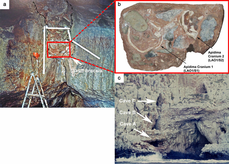 The-depositional-setting-of-the-Apidima1-and-Apidima2-specimens-a-The-interior-of.jpg The-depositional-setting-of-the-Apidima1-and-Apidima2-specimens-a-The-interior-of.jpg