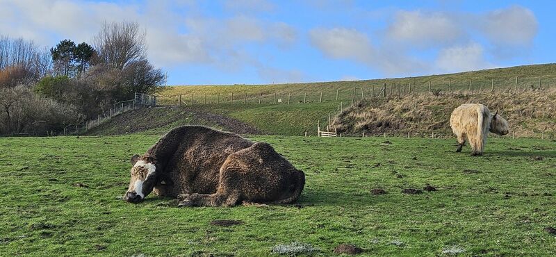 20240218_133002.jpg 20240218_133002.jpg