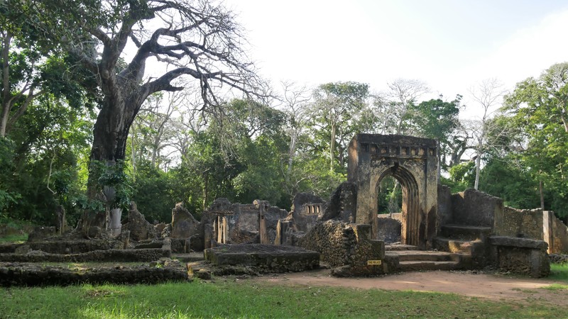 P1050775__2_.JPG P1050775__2_.JPG