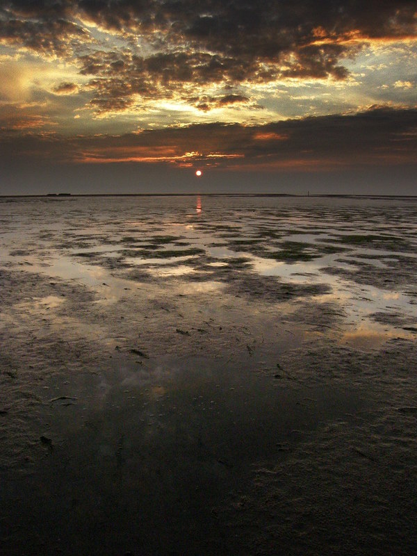 Wadden_Sea__1.jpg Wadden_Sea__1.jpg
