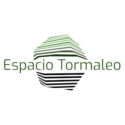 logo_espacioTormaleo.png logo_espacioTormaleo.png