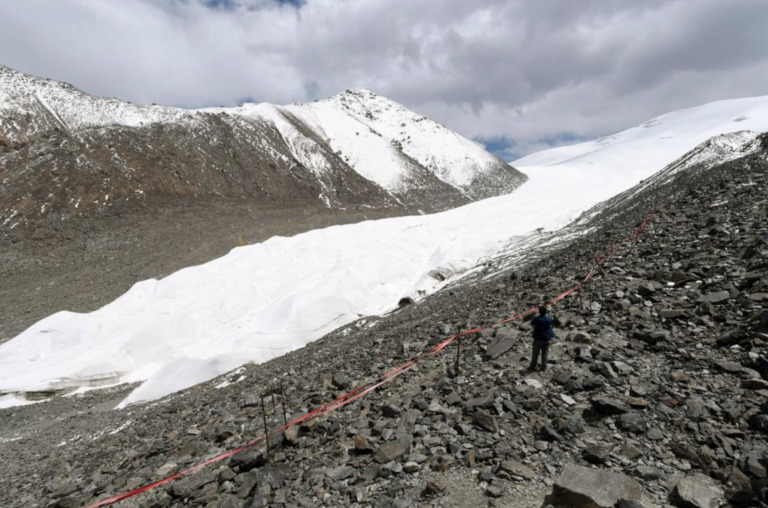 Screen-Shot-2023-08-11-at-08.15.43-768x508.png Screen-Shot-2023-08-11-at-08.15.43-768x508.png