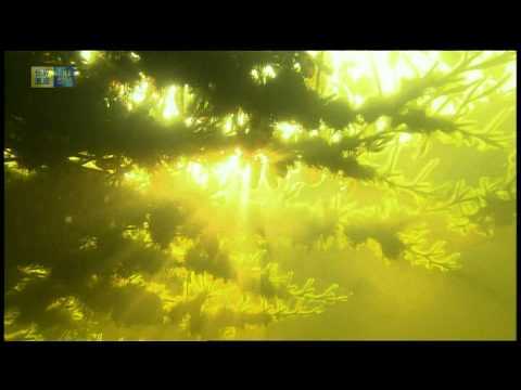 2197-thumbnail.jpg 2197-thumbnail.jpg