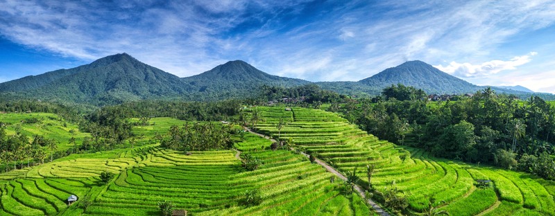 Jatiluwih_rice_terraces.jpg Jatiluwih_rice_terraces.jpg