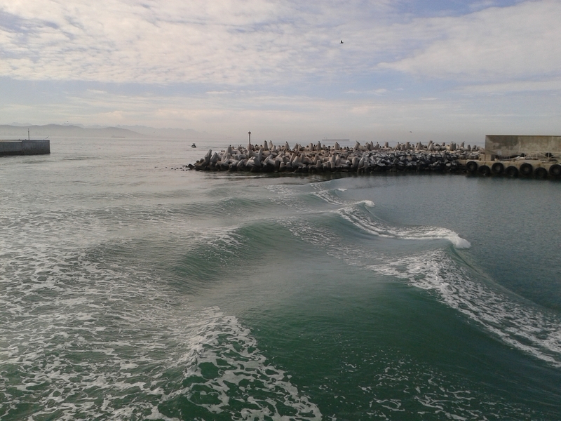 ASC_Leiden_-_Rietveld_Collection_-_11_-_Pier_of_concrete_blocks._Murray_s_Bay_Harbor_on_Robben_Island_-_2015.jpg ASC_Leiden_-_Rietveld_Collection_-_11_-_Pier_of_concrete_blocks._Murray_s_Bay_Harbor_on_Robben_Island_-_2015.jpg