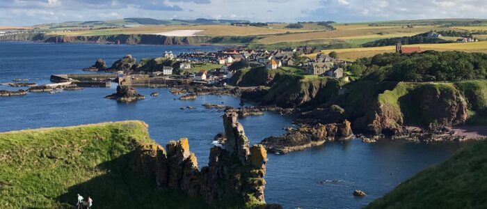 banner-700x300.jpg banner-700x300.jpg