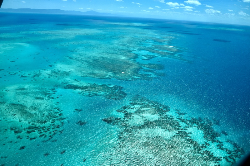 The_Great_Barrier_Reef__Queensland__Cairns__Ank_kumar__03.jpg The_Great_Barrier_Reef__Queensland__Cairns__Ank_kumar__03.jpg