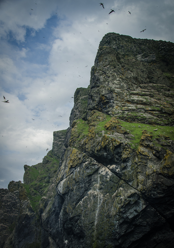 St._Kilda_Island_Image.jpg St._Kilda_Island_Image.jpg