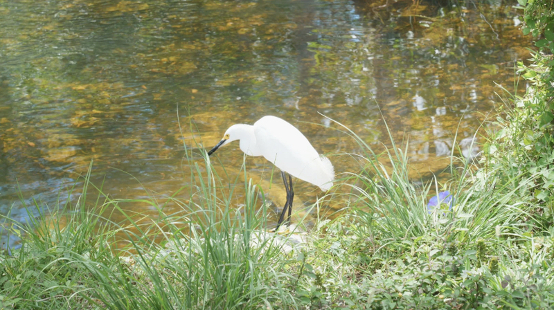 ____________-1.jpeg ____________-1.jpeg