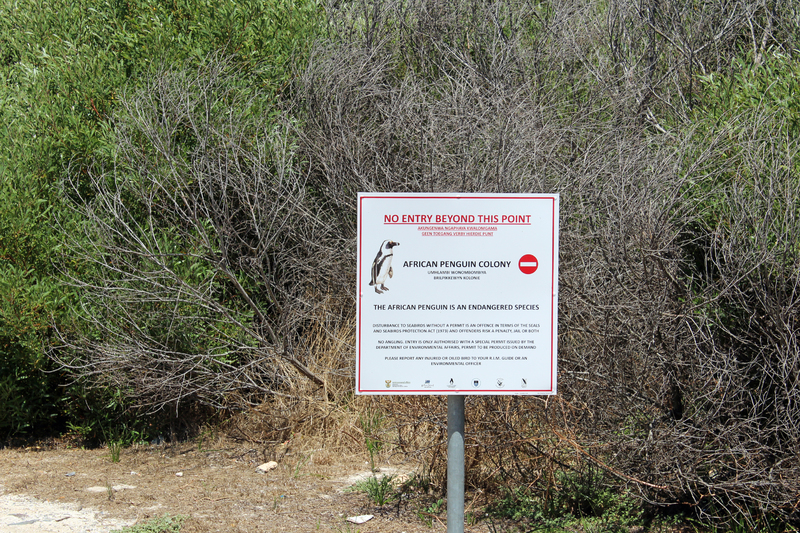 Robben_Island_Tour_41.jpg Robben_Island_Tour_41.jpg