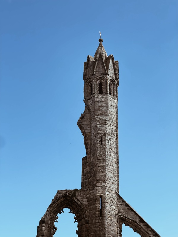 1262AD76-8377-4051-95D6-910734470AC3.JPG 1262AD76-8377-4051-95D6-910734470AC3.JPG