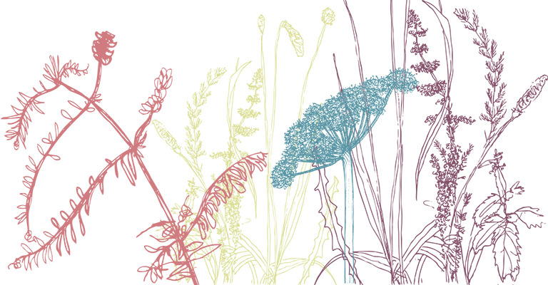 plant-header-combined.png plant-header-combined.png