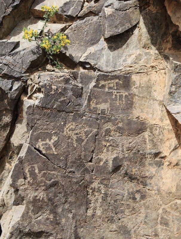 IMG_5768.jpg IMG_5768.jpg