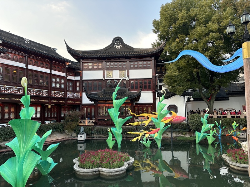 IMG_7251.JPG IMG_7251.JPG