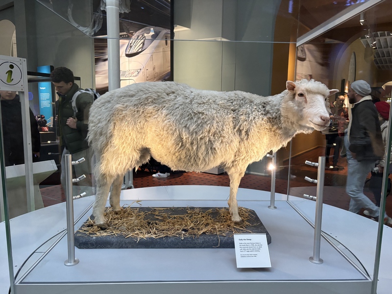 dacffc2dbfbf9b5efa6cfcda827710f-1.jpg dacffc2dbfbf9b5efa6cfcda827710f-1.jpg