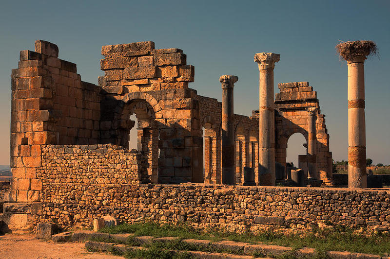 coverimage2-2.jpeg coverimage2-2.jpeg