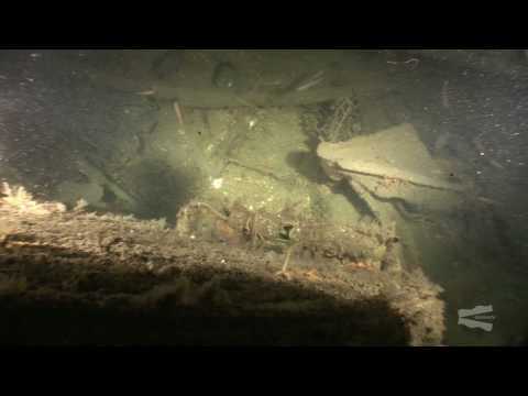 1212-thumbnail.jpg 1212-thumbnail.jpg