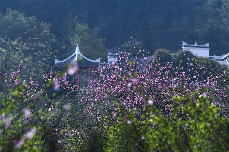 350l1e000001ftlqx1716_C_760_506.jpeg 350l1e000001ftlqx1716_C_760_506.jpeg