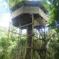 2028_Kakum-tree-house.jpg