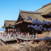 Kiyomizu_Temple.jpg