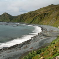 MacquarieIsland7.jpeg
