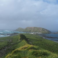 Macquarie_station__Macquarie_Island.jpeg