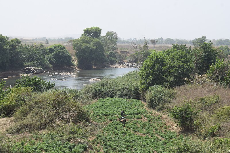 File:Irrigation Farmers.jpg
